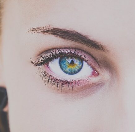 Få perfekt matchende øjenbryn med Refectocil farver
