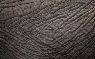 Genskab selvtilliden: Co2 laser mod ar, rynker og pigmentforandringer