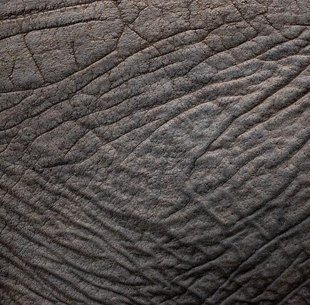 Genskab selvtilliden: Co2 laser mod ar, rynker og pigmentforandringer